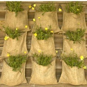 Bundle Of Burlap Sacks